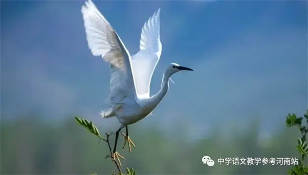 微信图片_20230103153815