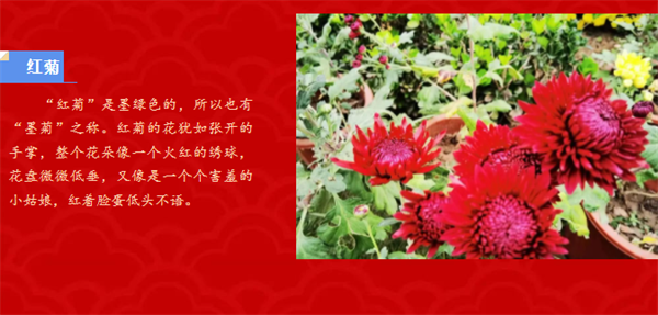 微信截图_20230103155431