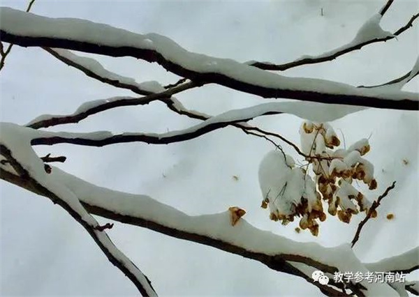 微信图片_20230112152438