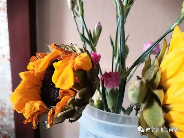 微信图片_20230112152441