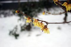 正阳县第一实验高级中学召开全体教师述职报告会
