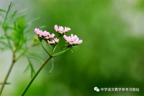 微信图片_20230120153403