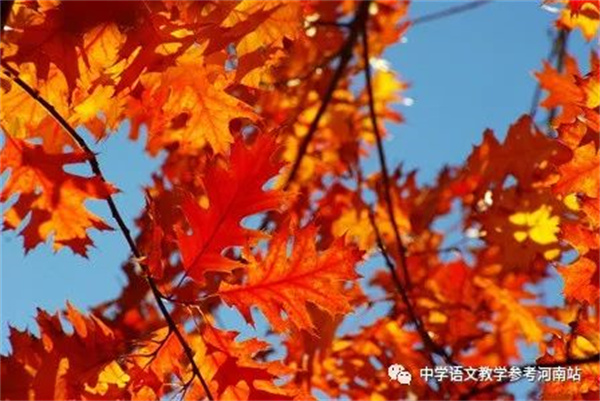 微信图片_20230120153406