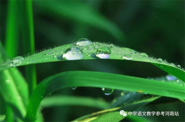 微信图片_20230120153651