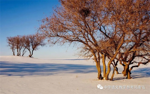 微信图片_20230129104224