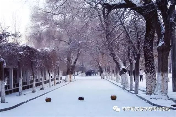 微信图片_20230129104232