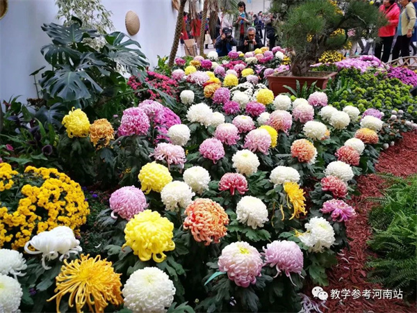 微信图片_20230208083948