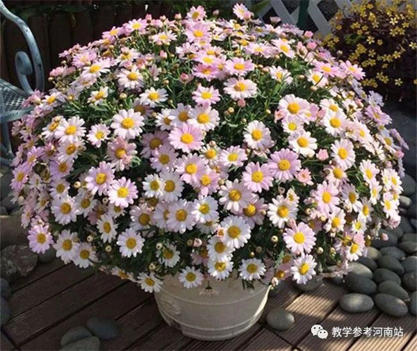 微信图片_20230208083951