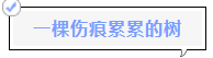 微信截图_20230211175512