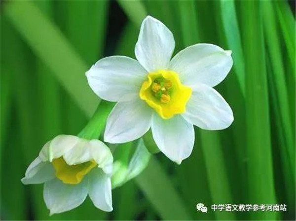 微信图片_20230211183409
