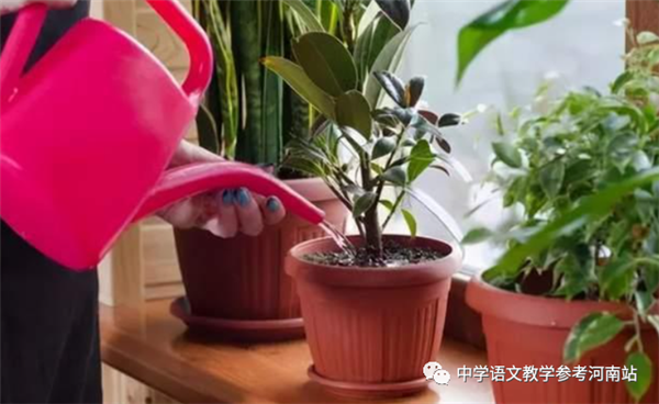 微信图片_20230211185025