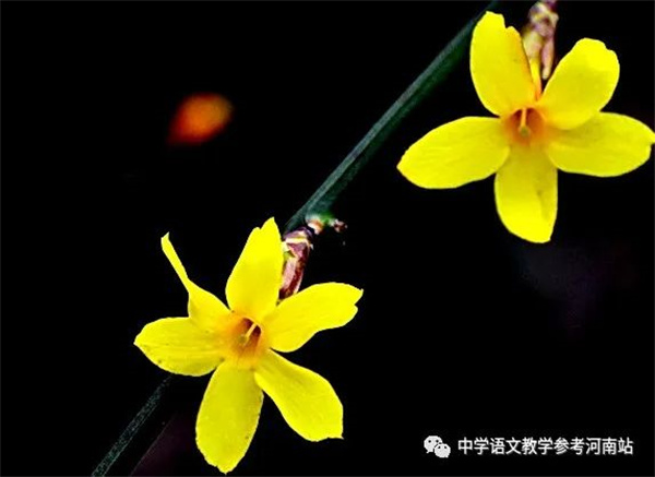 微信图片_20230212214257