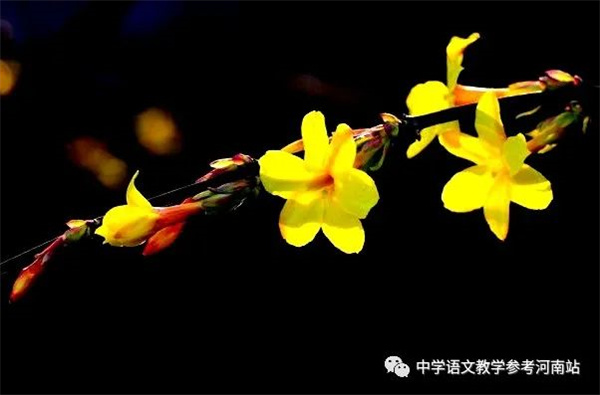 微信图片_20230212214311