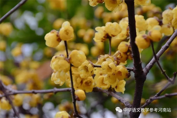 微信图片_20230215083327