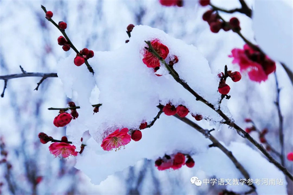微信图片_20230216091702