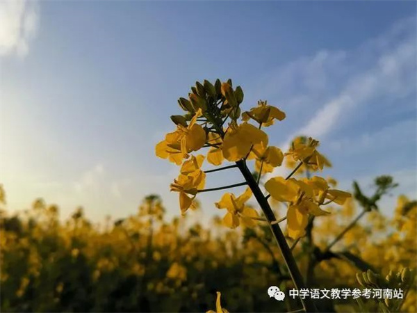 微信图片_20230221082747