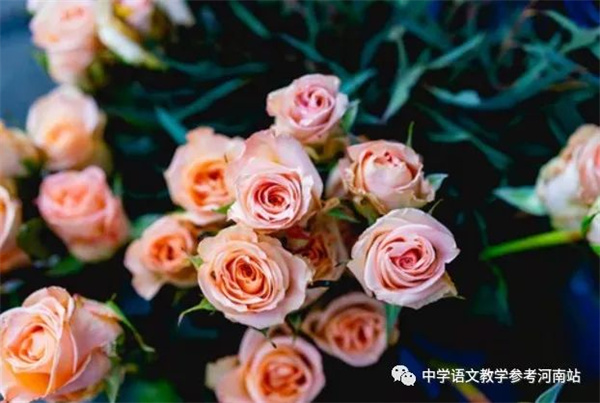 微信图片_20230224091652