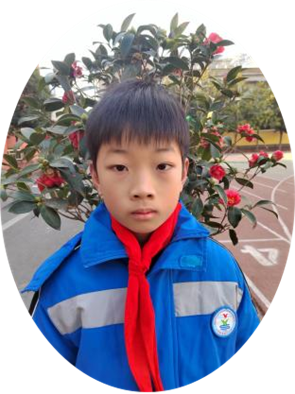 图片5