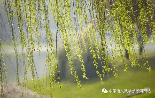 微信图片_20230303094914
