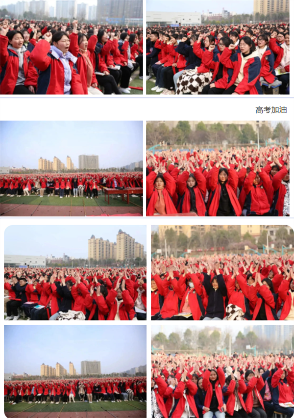 微信截图_20230303083747