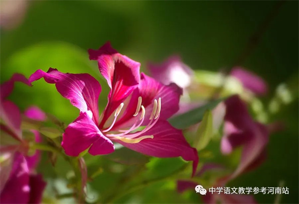 微信图片_20230303211626