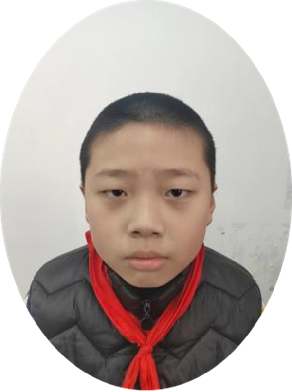 图片1