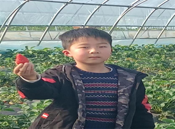 图片1
