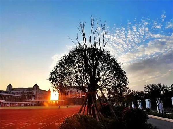 微信图片_20240229101904