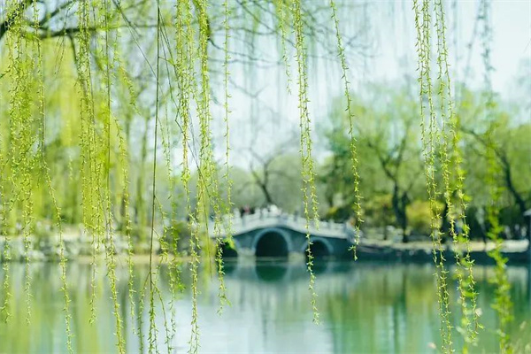 微信图片_20240323093016