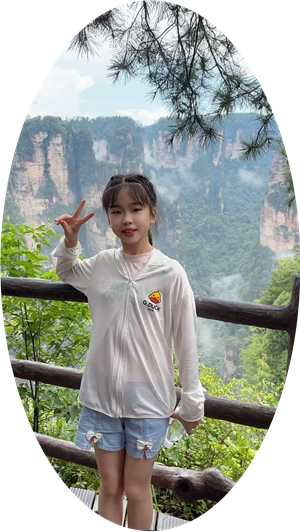贾