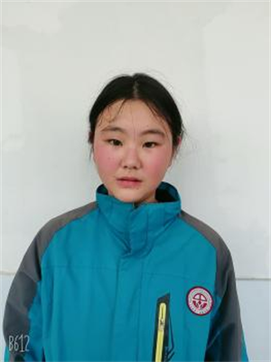 贺