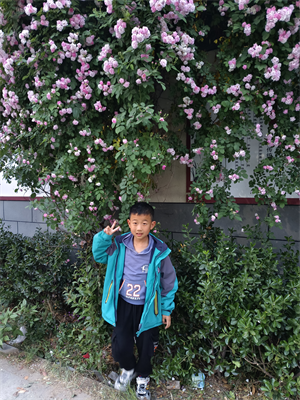 陈