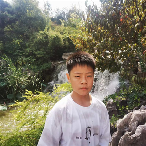 李