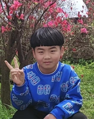 罗