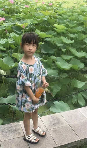 沈