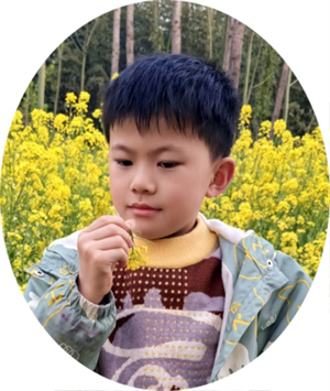 曹