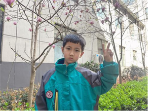 曹