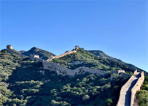 图片1王迪