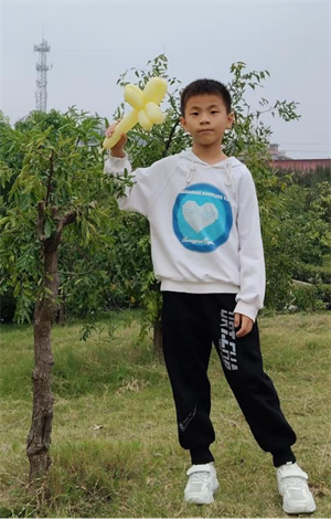 图片1