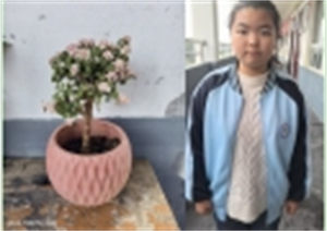 王凤微信截图_20251108205201