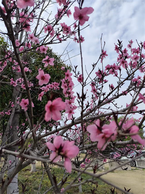 fca92e6c3faf163b02940856e8e13af6