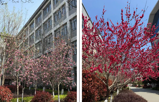 微信图片_20260408164125_567_2