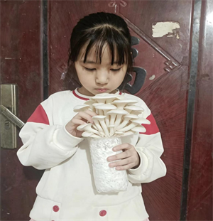 17图片1