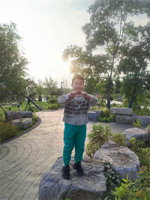 11图片1