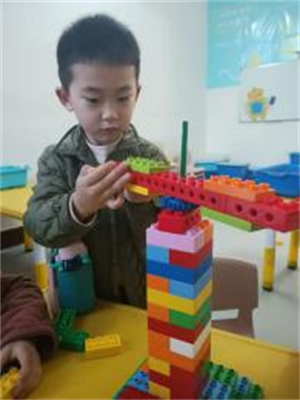 11图片1