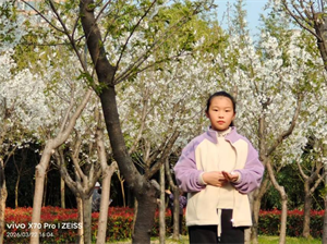 19图片1